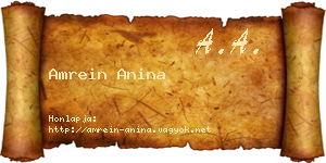 Amrein Anina névjegykártya